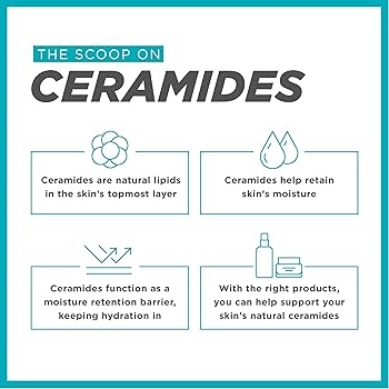 Curél モイスチャーフェイシャルミルク Amazon.com : Curel Japanese Skin Care Moisture Facial Milk